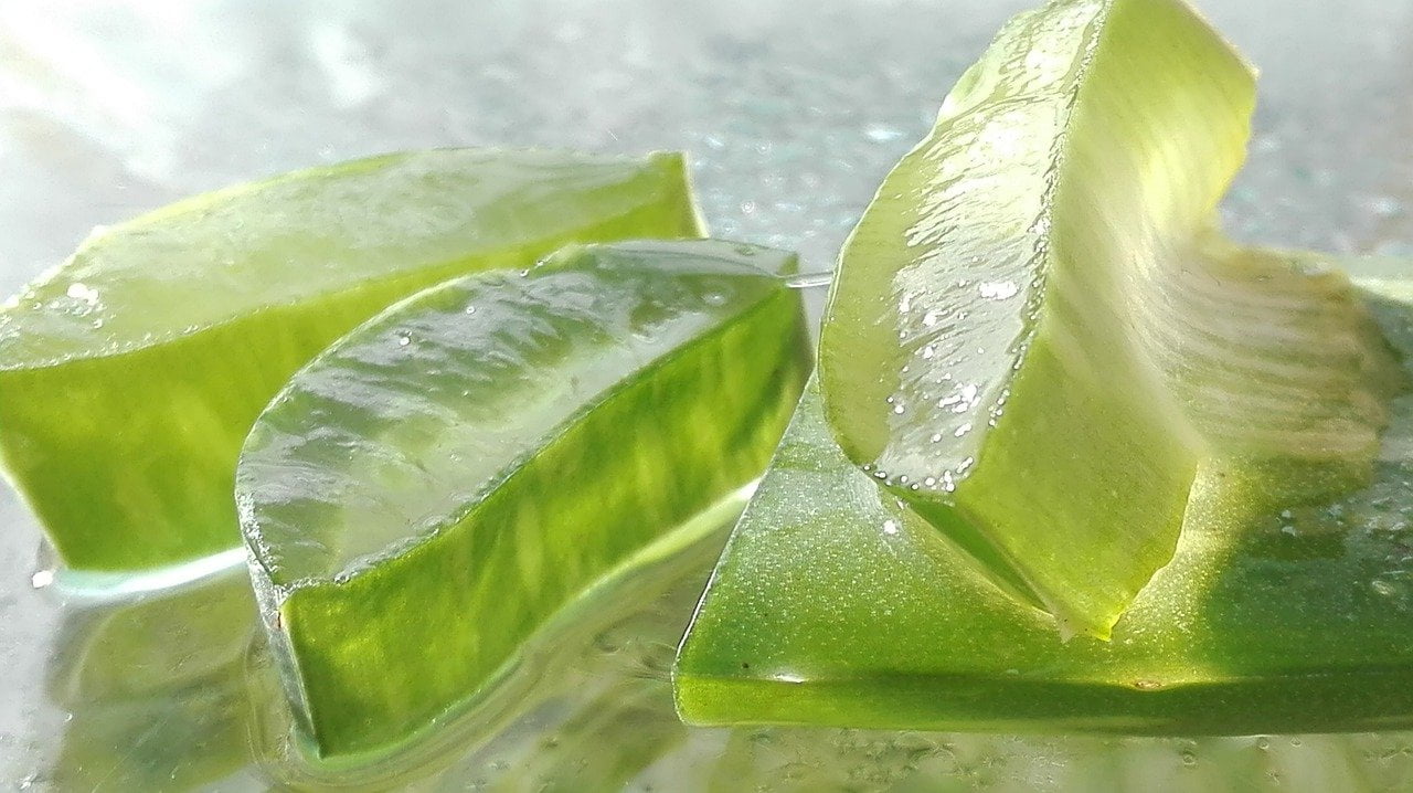 Aloe vera tea benefits