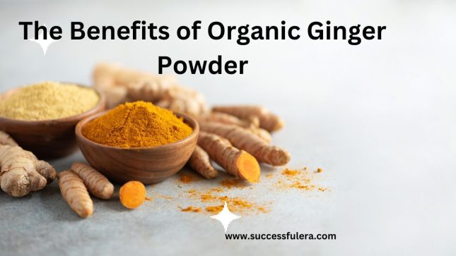 Organic Ginger Powder